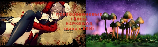 амф Арсеньев