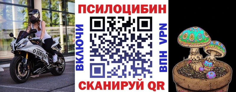 Псилоцибиновые грибы Psilocybe Волгоград